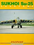 Su-25 Frogfoot